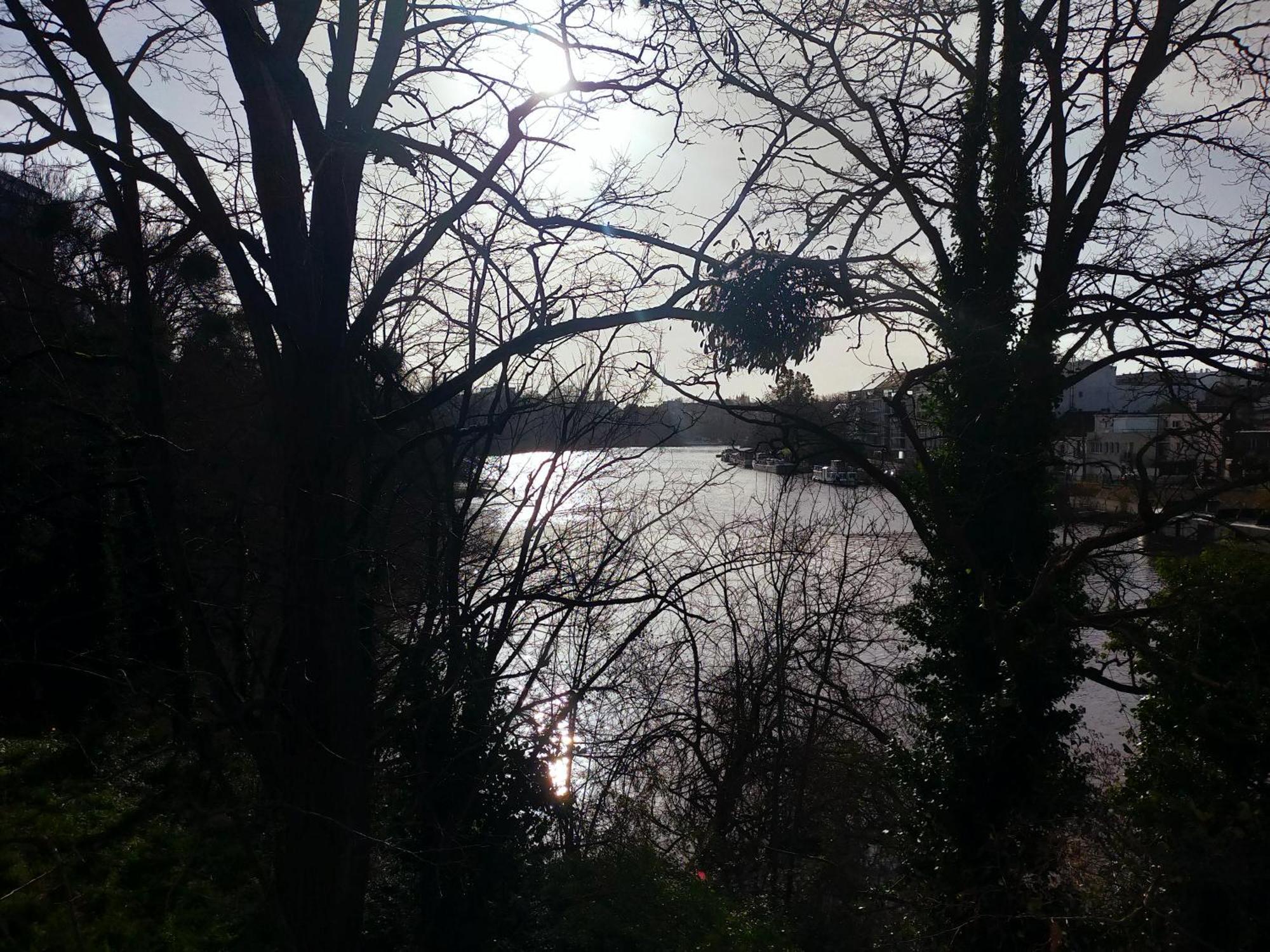 L'Arbre Aux Herons - Panoramique Nantes Wifi Zewnętrze zdjęcie